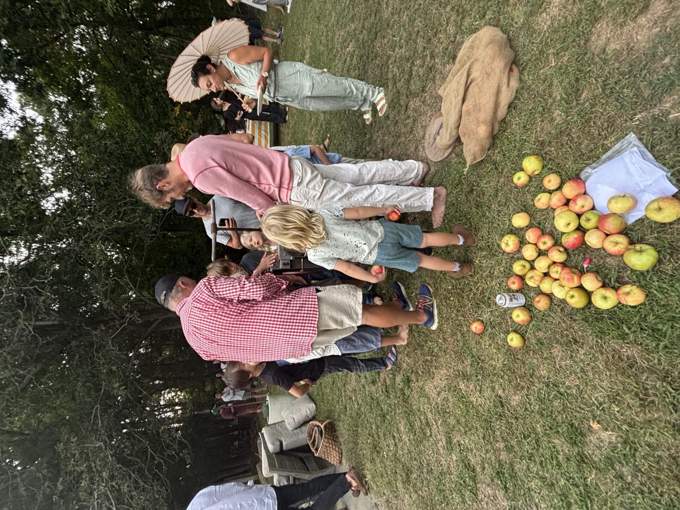 A crowd gathered around the cider press on the lawn, apples spread on the grass